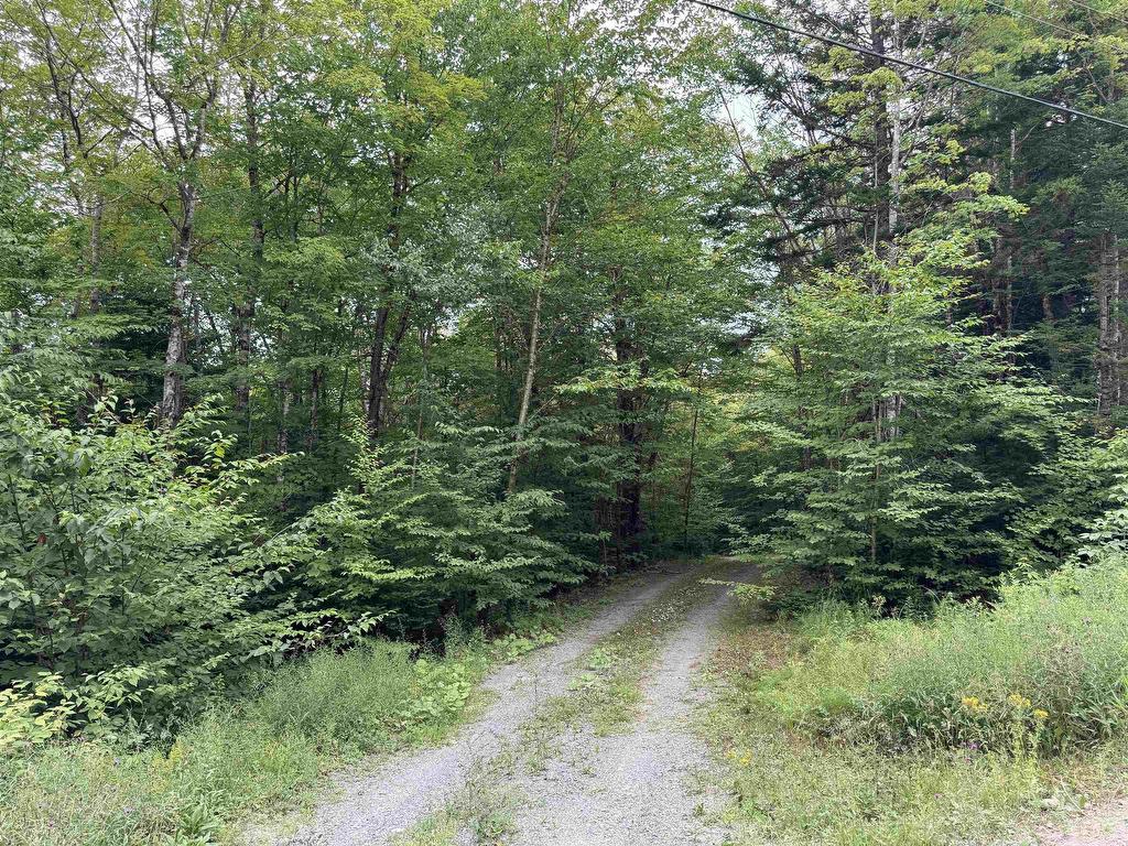 












126 Middle Lake South Road

,
Vaughan,







NS
B0N 2T0

