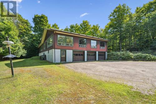 Nice level approach to the house