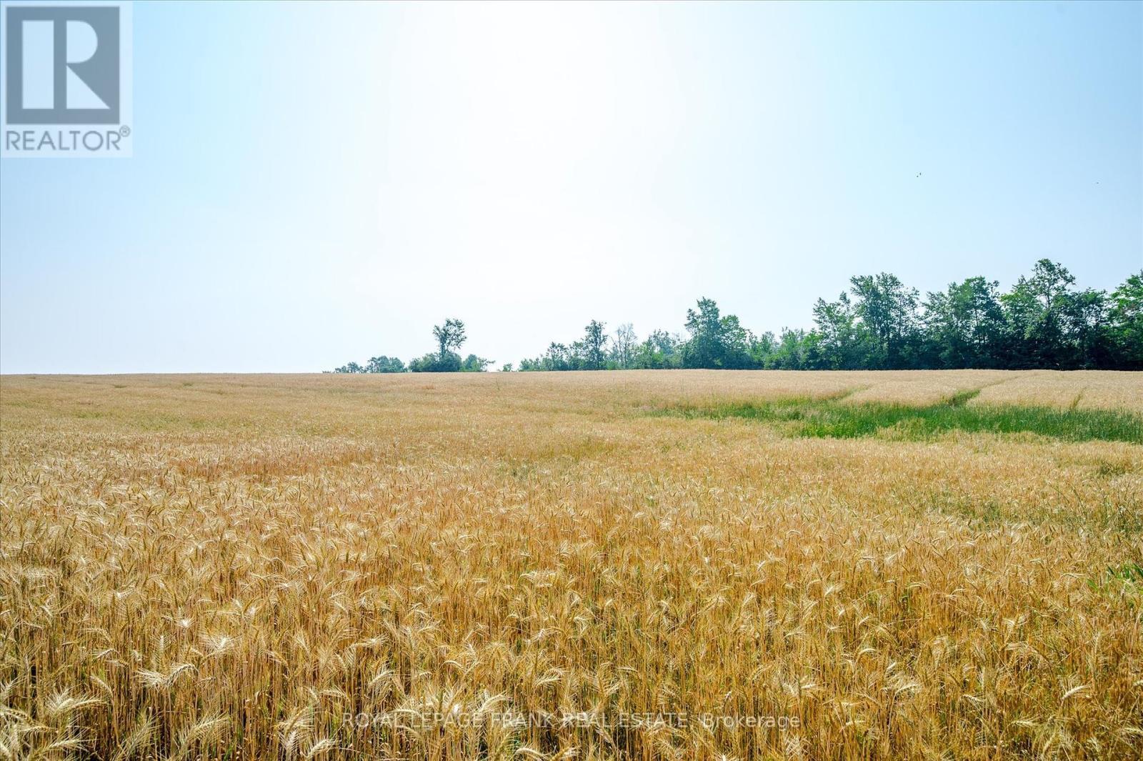 












1060 CENTRE LINE

,
Selwyn,







Ontario
K9J6X5

