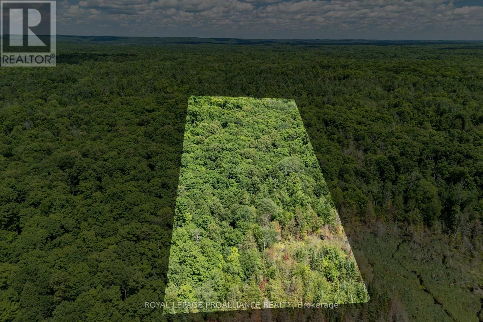 












0 BUCKSHOT LAKE ROAD

,
North Frontenac (Frontenac North),







Ontario
K0H2M0

