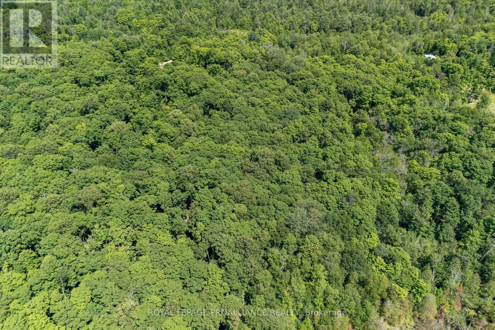 












0 BUCKSHOT LAKE ROAD

,
North Frontenac (Frontenac North),







Ontario
K0H2M0

