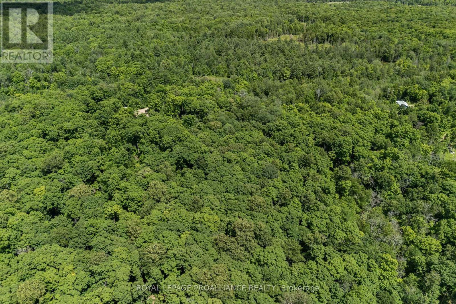 












0 BUCKSHOT LAKE ROAD

,
North Frontenac (Frontenac North),







Ontario
K0H2M0

