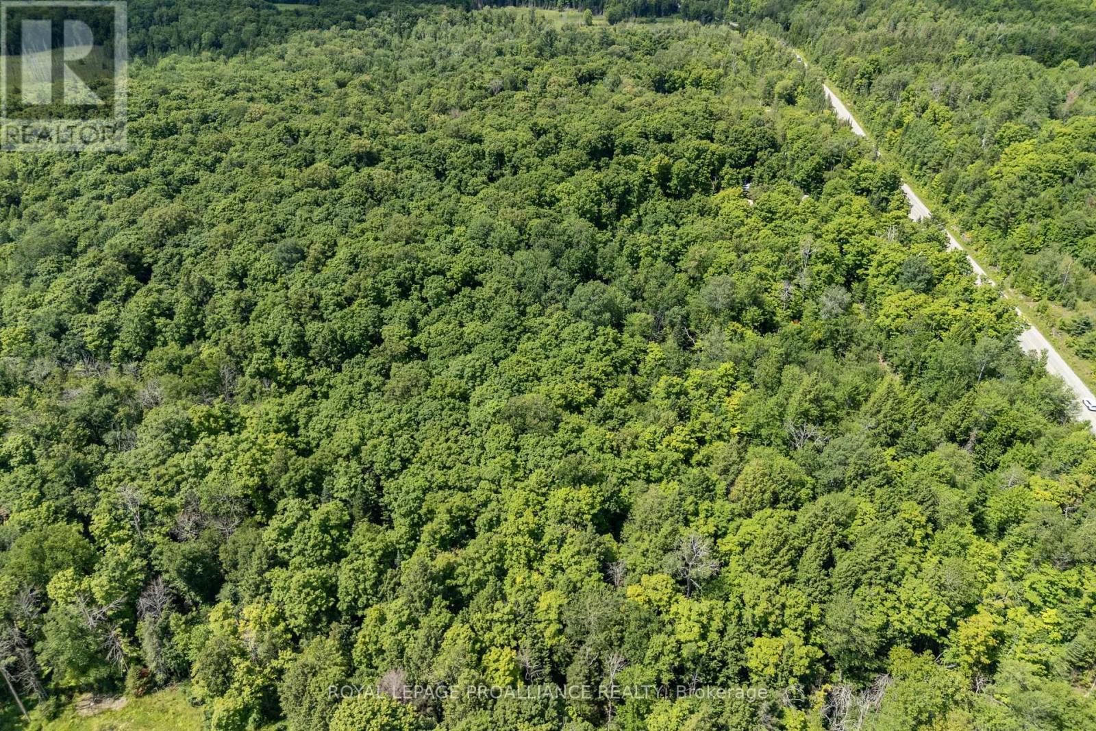 












0 BUCKSHOT LAKE ROAD

,
North Frontenac (Frontenac North),







Ontario
K0H2M0

