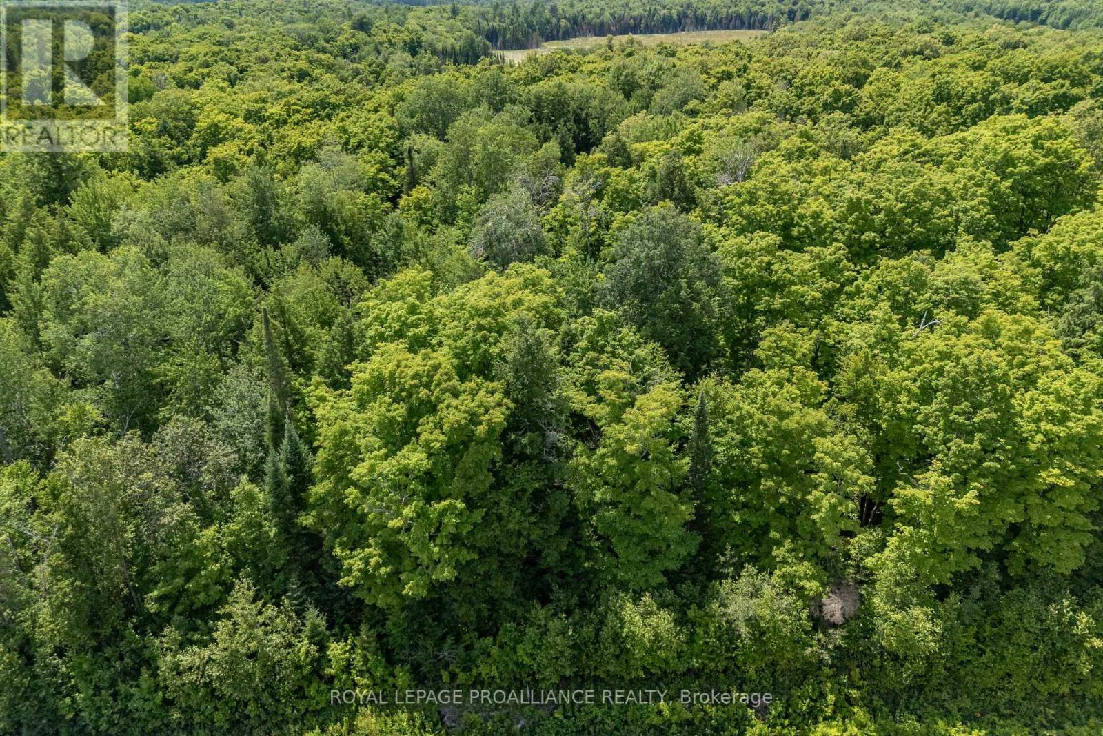 












0 BUCKSHOT LAKE ROAD

,
North Frontenac (Frontenac North),







Ontario
K0H2M0

