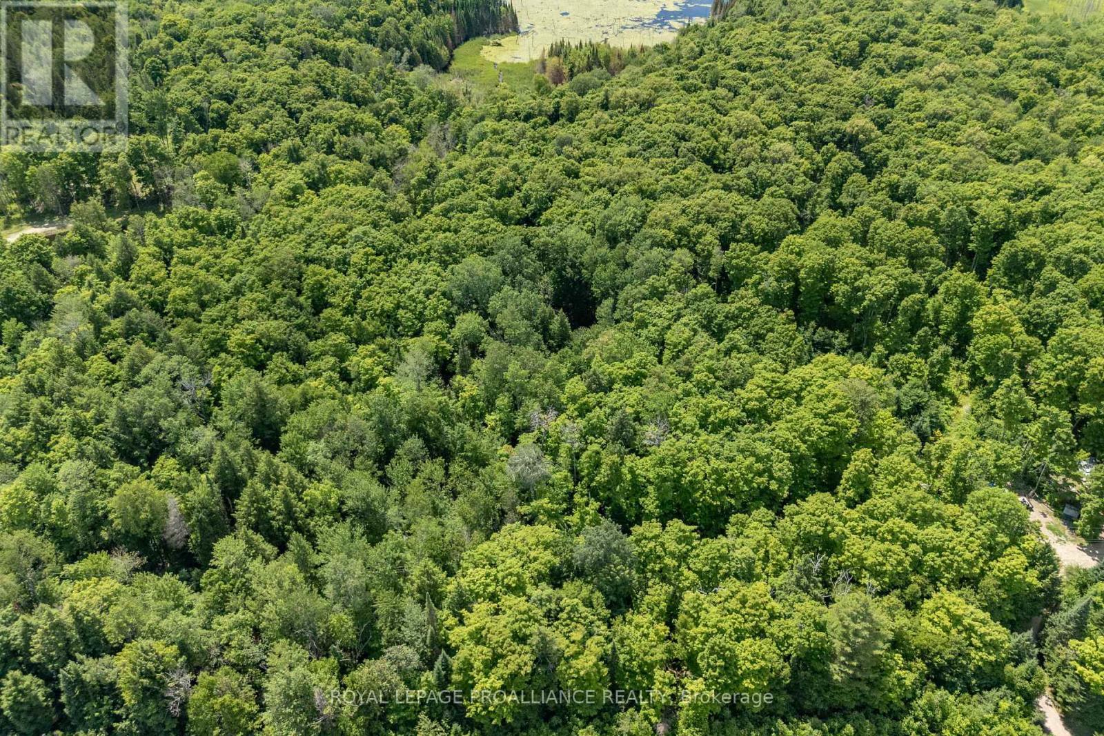 












0 BUCKSHOT LAKE ROAD

,
North Frontenac (Frontenac North),







Ontario
K0H2M0

