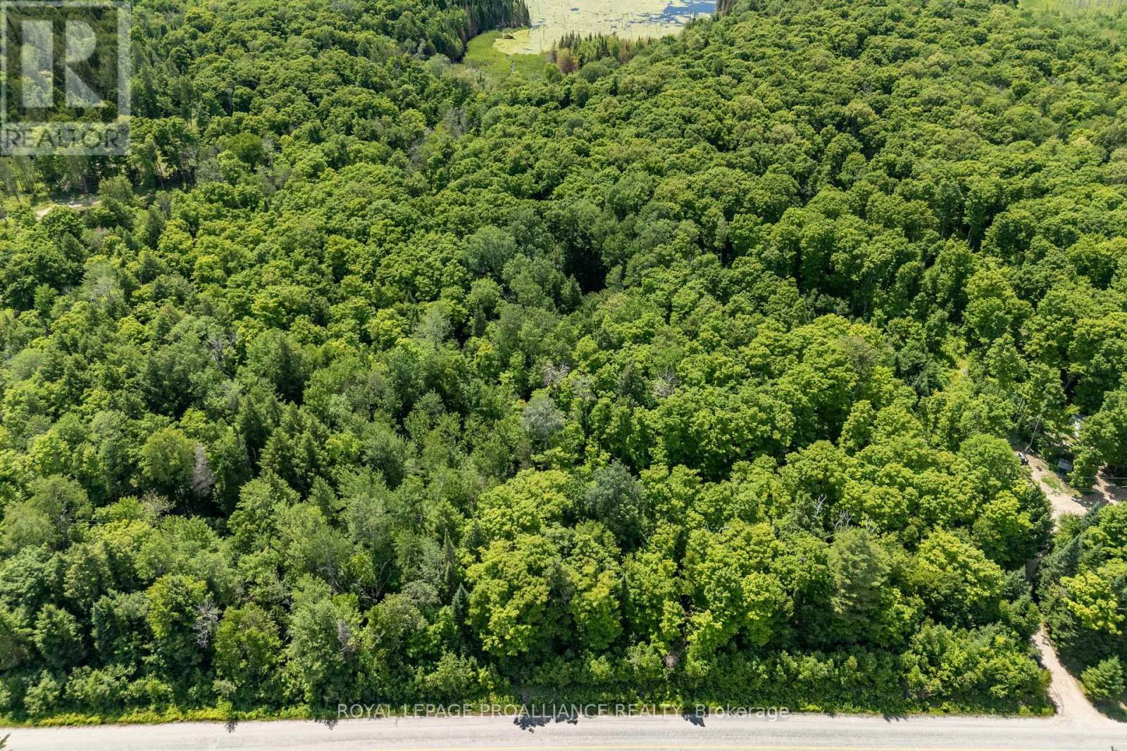 












0 BUCKSHOT LAKE ROAD

,
North Frontenac (Frontenac North),







Ontario
K0H2M0

