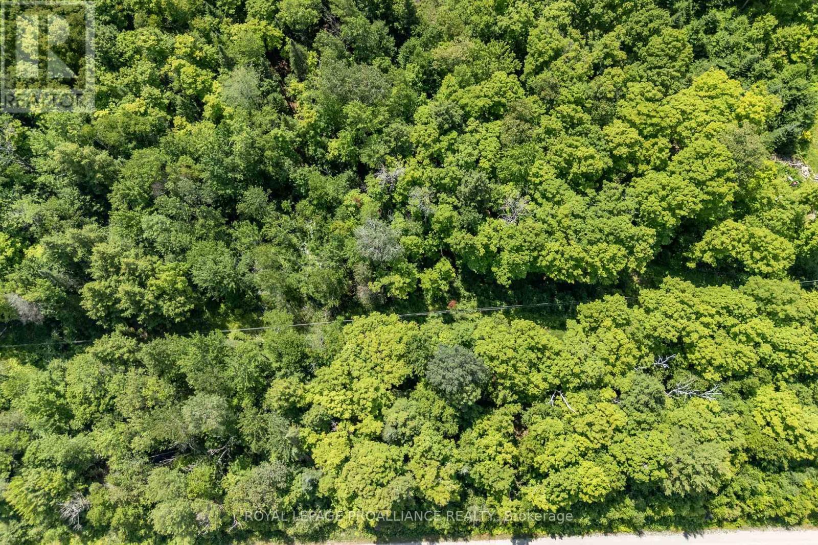 












0 BUCKSHOT LAKE ROAD

,
North Frontenac (Frontenac North),







Ontario
K0H2M0

