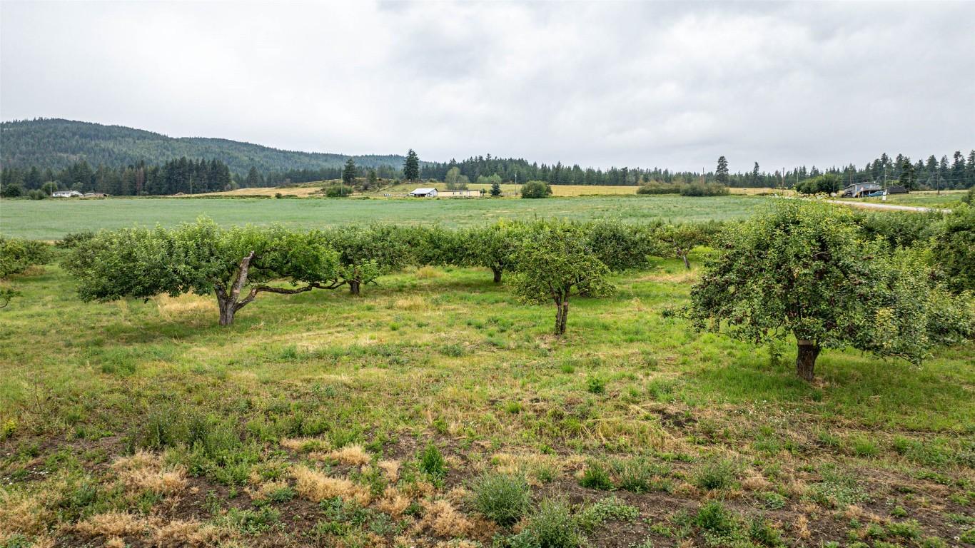 









4377


Hallam

Road,
Armstrong,




BC
V0E 1B4

