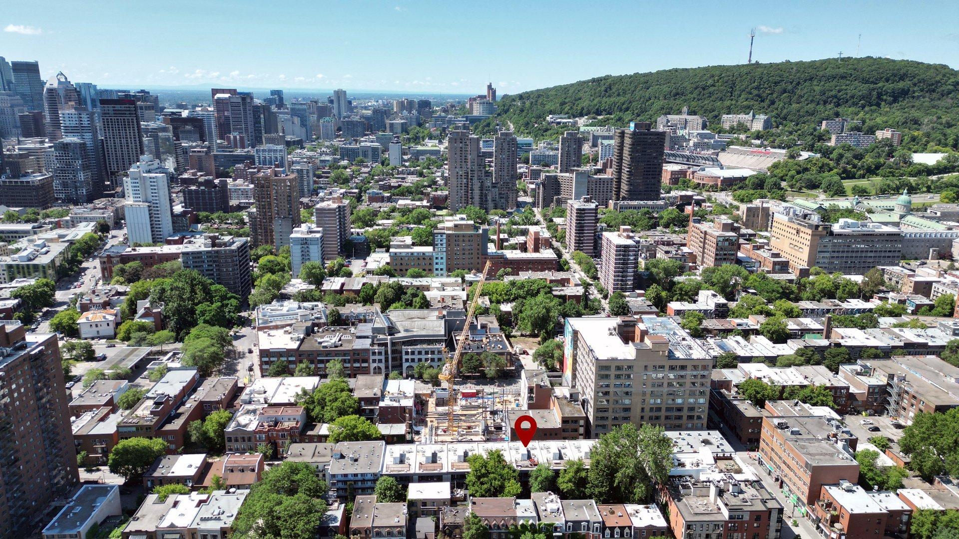 









3551


Rue St-Dominique

, 302,
Montréal (Le Plateau-Mont-Royal),




QC
H2X2X5

