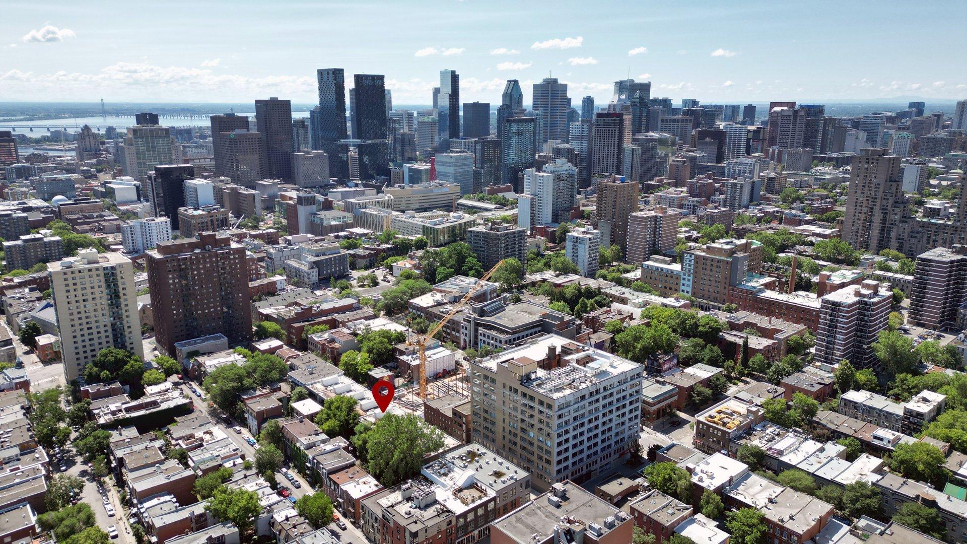 









3551


Rue St-Dominique

, 302,
Montréal (Le Plateau-Mont-Royal),




QC
H2X2X5

