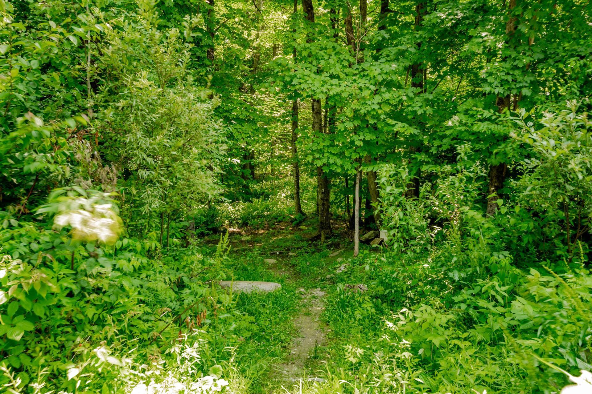 









171


Ch. Verdi

,
Saint-Étienne-de-Bolton,




QC
J0E2E0

