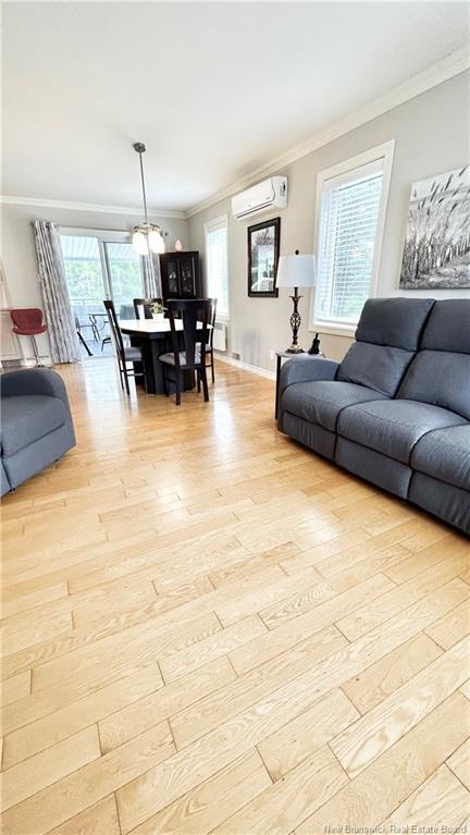 









61


Saint-Simon

,
Caraquet,




NB
E1W 1B3

