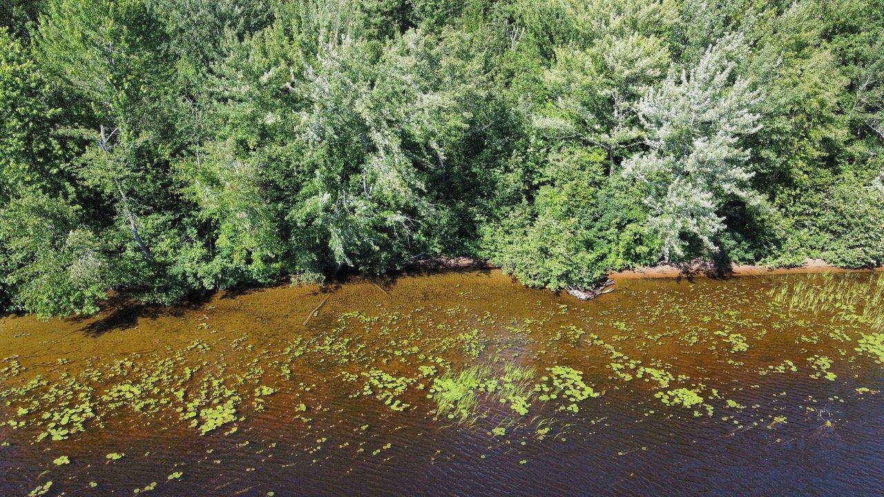 









55


Ch. McGuire

,
Litchfield,







QC
J0X1K0

