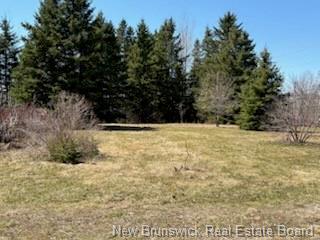 









29


Route 322

,
North Tetagouche,




NB
E2A 4Y6

