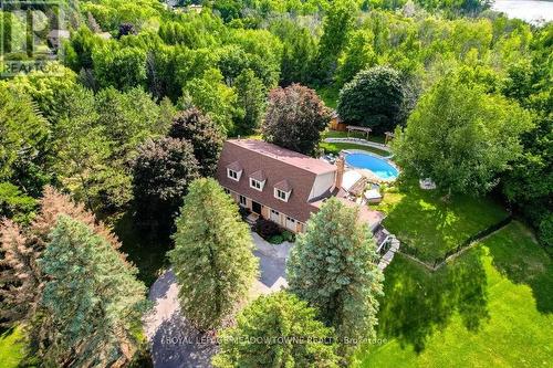 Aerial view in full bloom