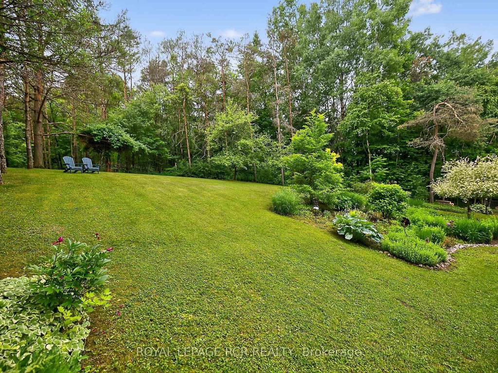 









11


Foxfire

Chase,
Uxbridge,




ON
L9P 0L1

