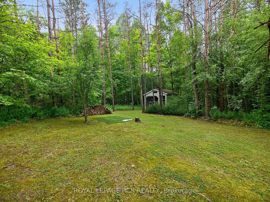









11


Foxfire

Chase,
Uxbridge,




ON
L9P 0L1

