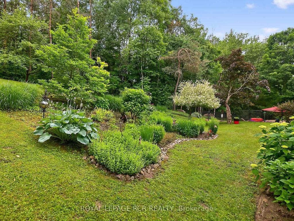









11


Foxfire

Chase,
Uxbridge,




ON
L9P 0L1

