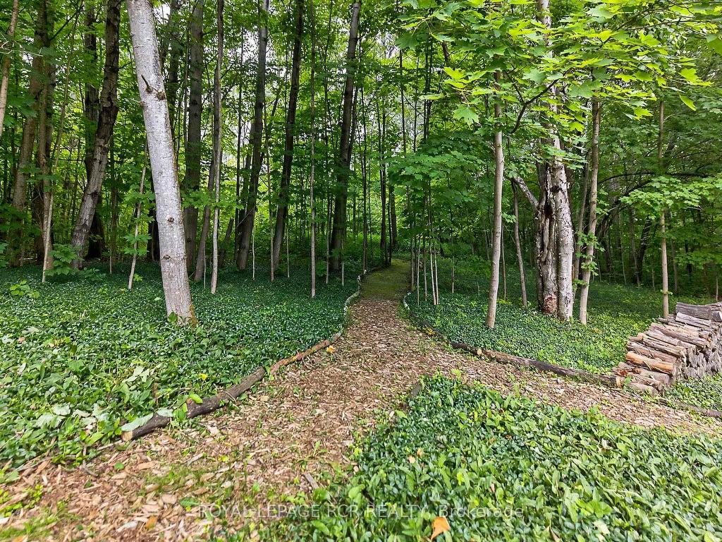 









11


Foxfire

Chase,
Uxbridge,




ON
L9P 0L1

