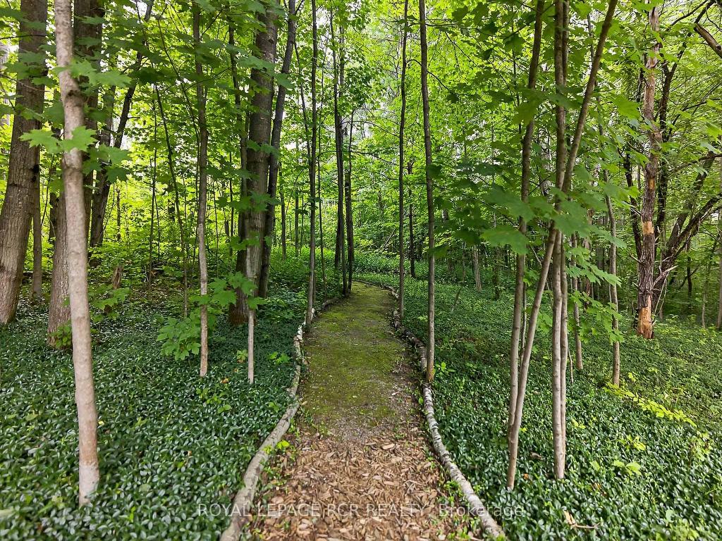 









11


Foxfire

Chase,
Uxbridge,




ON
L9P 0L1

