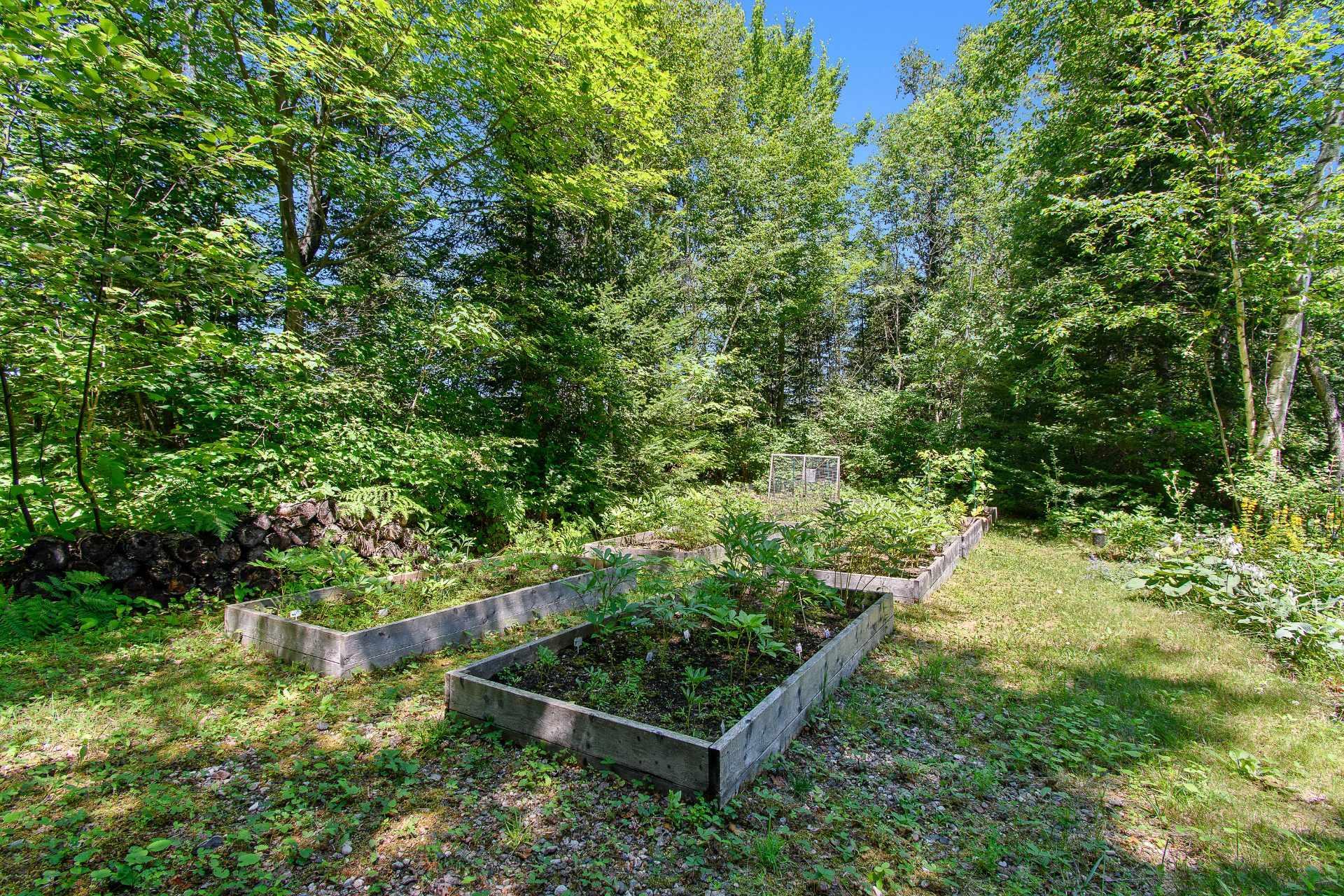 









78


Ch. Old Bridge

,
Otter Lake,




QC
J0X2P0

