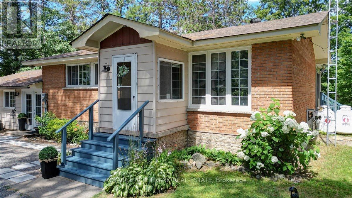 












119 MCFADDEN ROAD

,
North Kawartha,




Ontario
K0L1A0

