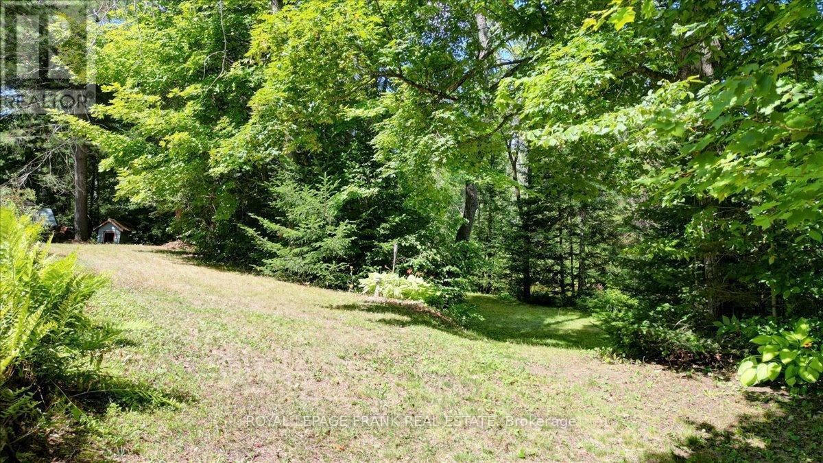 












119 MCFADDEN ROAD

,
North Kawartha,




Ontario
K0L1A0

