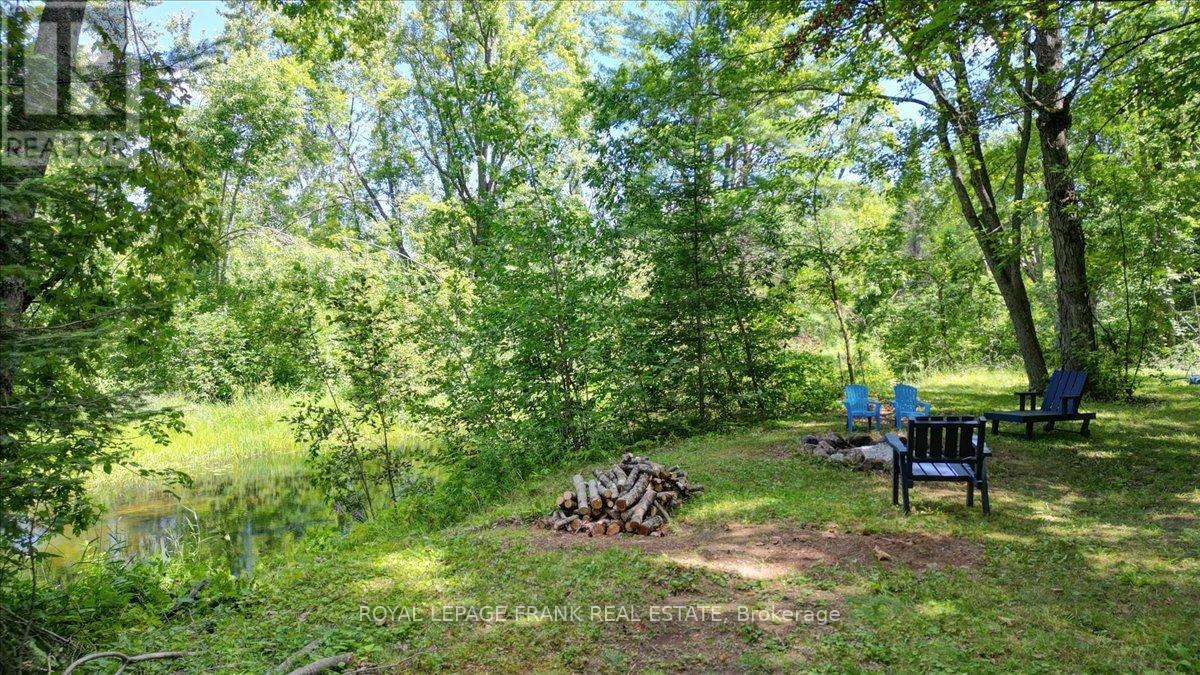 












119 MCFADDEN ROAD

,
North Kawartha,




Ontario
K0L1A0


