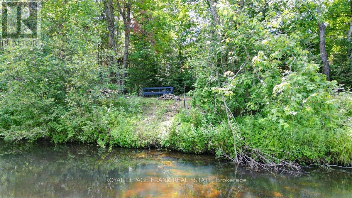 












119 MCFADDEN ROAD

,
North Kawartha,




Ontario
K0L1A0

