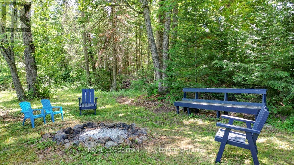 












119 MCFADDEN ROAD

,
North Kawartha,




Ontario
K0L1A0

