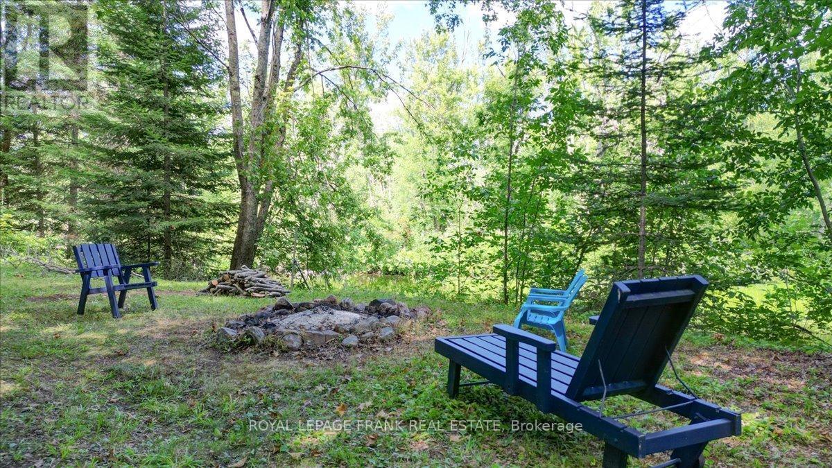 












119 MCFADDEN ROAD

,
North Kawartha,




Ontario
K0L1A0

