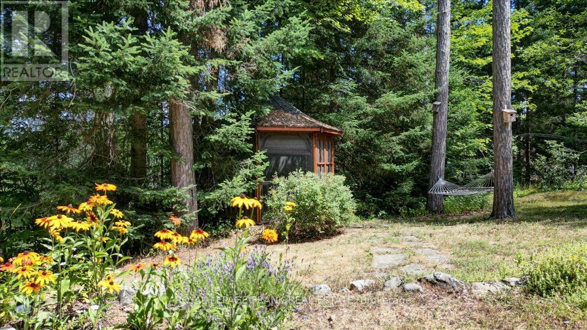 












119 MCFADDEN ROAD

,
North Kawartha,




Ontario
K0L1A0

