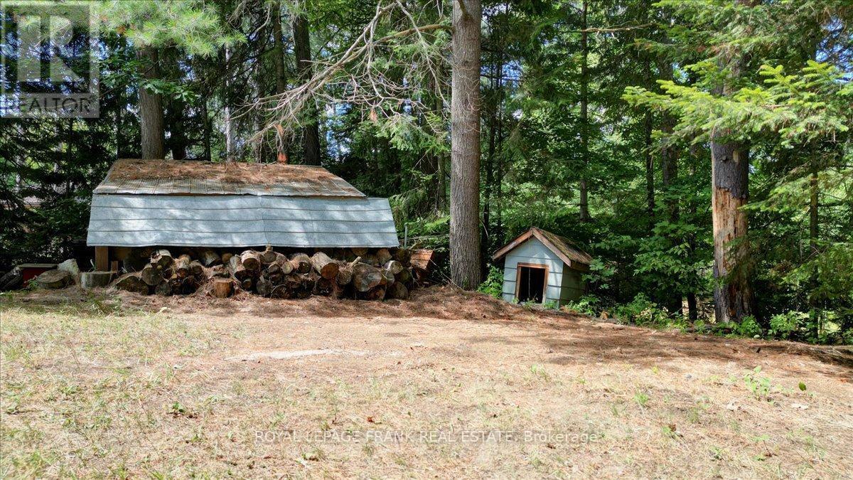 












119 MCFADDEN ROAD

,
North Kawartha,




Ontario
K0L1A0


