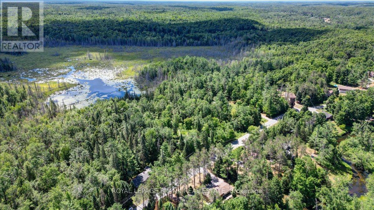 












119 MCFADDEN ROAD

,
North Kawartha,




Ontario
K0L1A0

