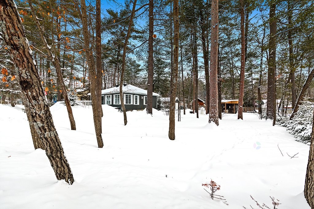 









5C


Rue McCagg

,
Clarendon,




QC
J0X2Y0

