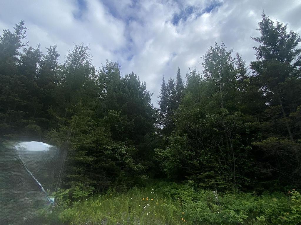









Lot 1


ON-17 / Trans Canada

Highway,
Plummer Additional,







ON
P0R 1C0

