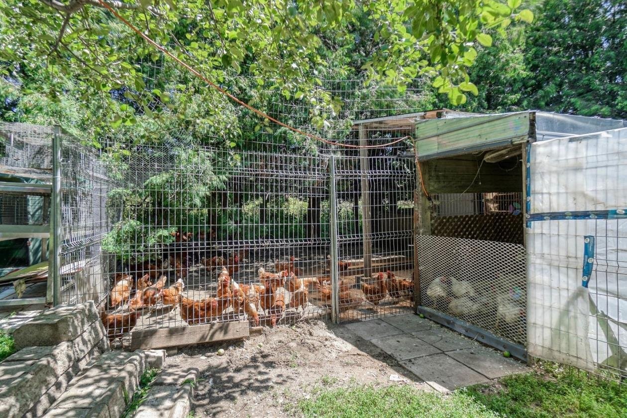 









1209

 - 1211


Ch. de la Montagne

,
Mont-Saint-Hilaire,




QC
J3G4S6

