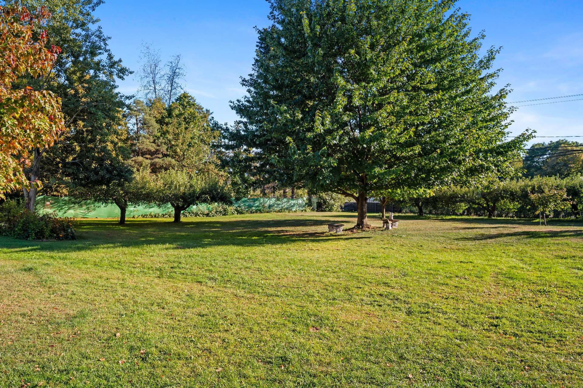 









1209

 - 1211


Ch. de la Montagne

,
Mont-Saint-Hilaire,




QC
J3G4S6

