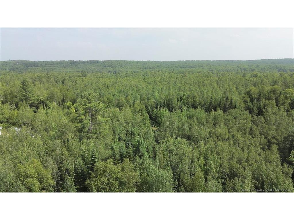 









NA


Chemin Cormier

,
Sormany,







NB
E8K 3B5

