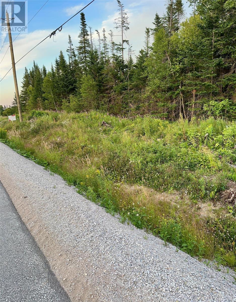 












398 Veterans Drive

,
Cormack,







Newfoundland & Labrador
A8A2R4

