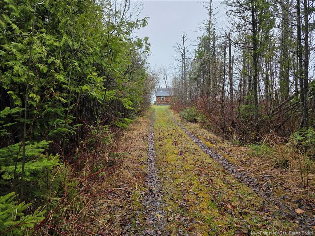 









523


Principale

,
Pointe-Verte,




NB
E8J 2R2

