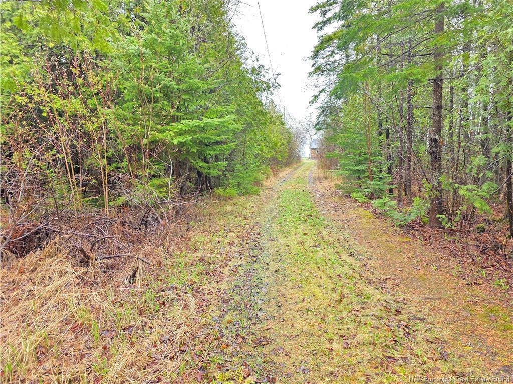 









523


Principale

,
Pointe-Verte,




NB
E8J 2R2

