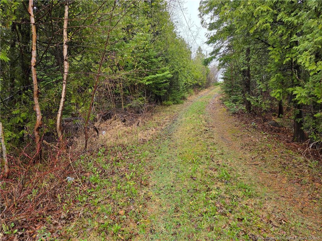 









523


Principale

,
Pointe-Verte,




NB
E8J 2R2

