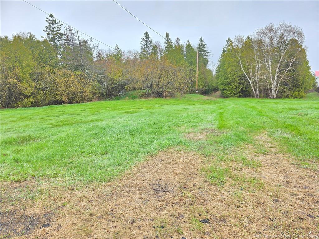 









523


Principale

,
Pointe-Verte,




NB
E8J 2R2

