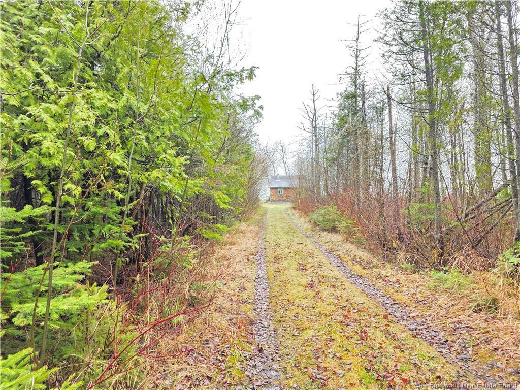 









523


Principale

,
Pointe-Verte,




NB
E8J 2R2

