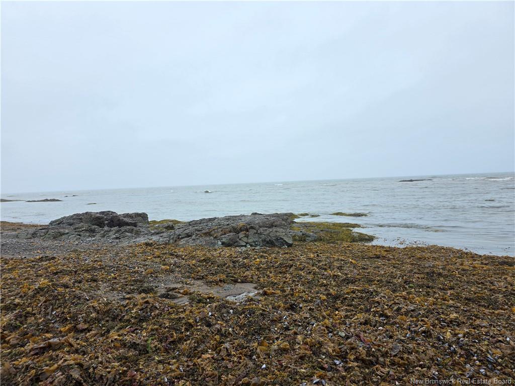 









523


Principale

,
Pointe-Verte,




NB
E8J 2R2

