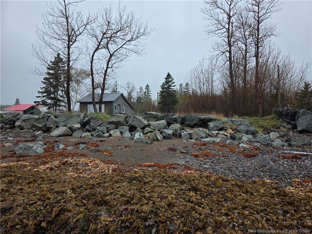 









523


Principale

,
Pointe-Verte,




NB
E8J 2R2

