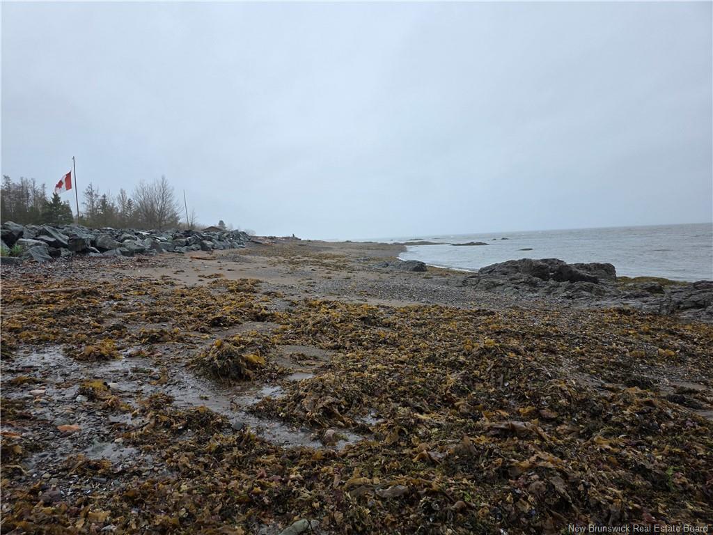









523


Principale

,
Pointe-Verte,




NB
E8J 2R2

