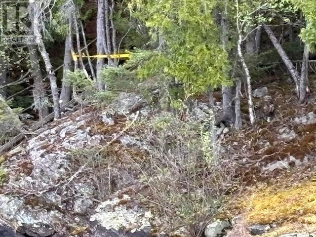 












PT 5 HEMLOCK ISLAND

,
East Ferris,







Ontario
P0H1K0

