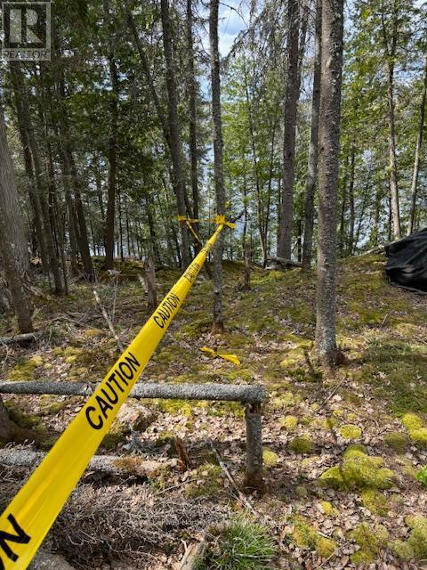 












PT 5 HEMLOCK ISLAND

,
East Ferris,







Ontario
P0H1K0

